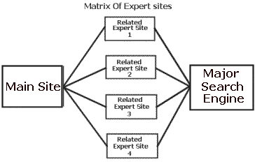 Diagram of a Sample Matrix